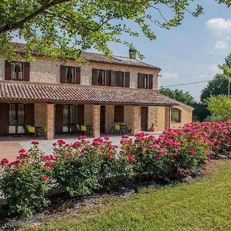 Agriturismo La Vecchia Fonte Castelbellino Zewnętrze zdjęcie