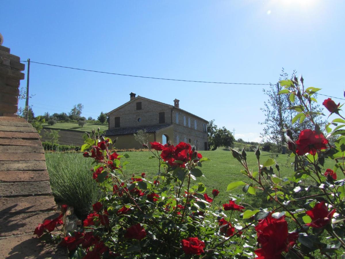 Agriturismo La Vecchia Fonte Castelbellino Zewnętrze zdjęcie