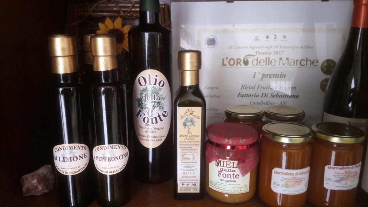 Agriturismo La Vecchia Fonte Castelbellino Zewnętrze zdjęcie