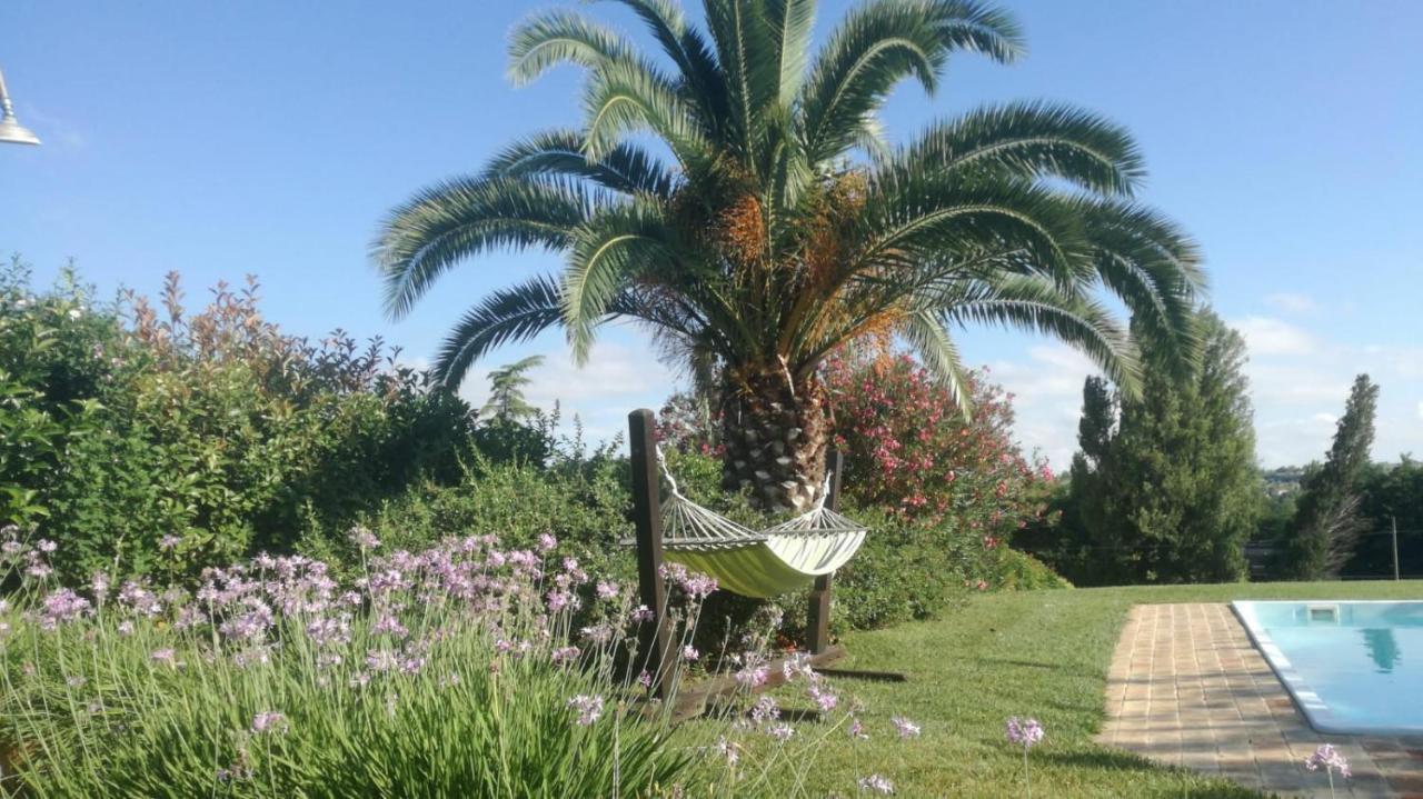 Agriturismo La Vecchia Fonte Castelbellino Zewnętrze zdjęcie