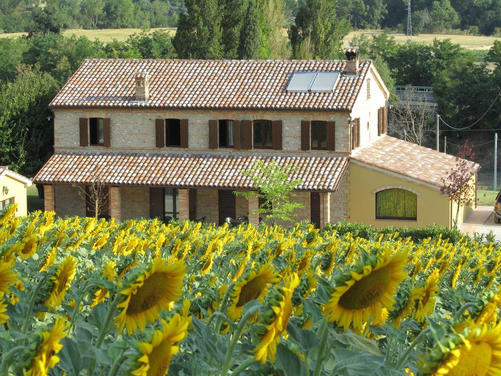 Pensjonat Agriturismo La Vecchia Fonte Castelbellino Zewnętrze zdjęcie
