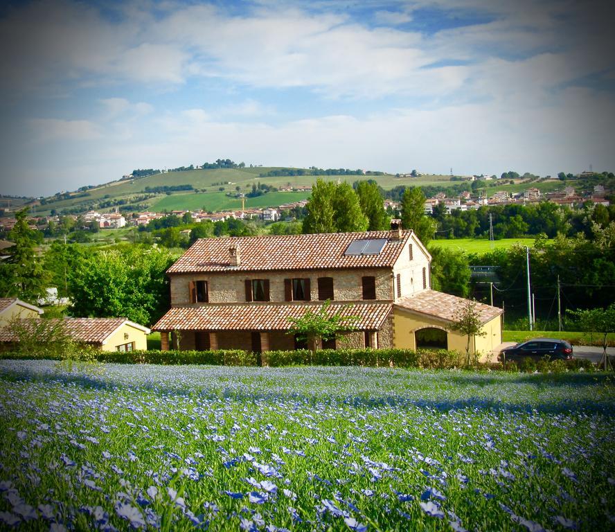 Agriturismo La Vecchia Fonte Castelbellino Zewnętrze zdjęcie